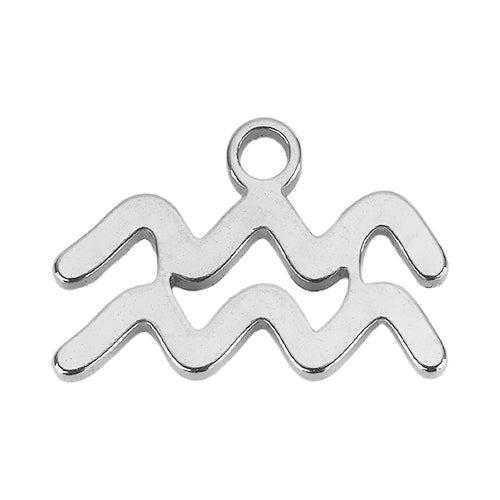 Silver Aquarius Charm addon