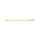 Gold 2 Inch Chain Extender jewellery