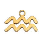 Gold Aquarius Charm addon