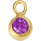 Gold - February Amethyst Birthstone addon