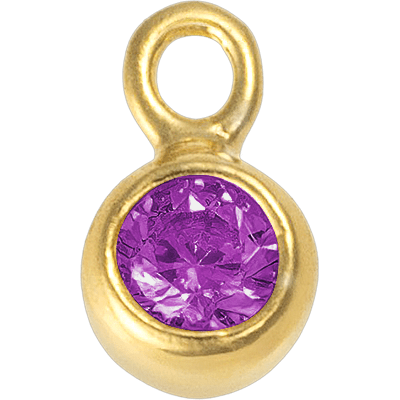 Gold - February Amethyst Birthstone addon