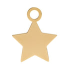 Gold Star Charm addon