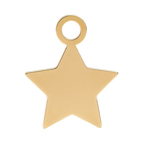 Gold Star Charm addon