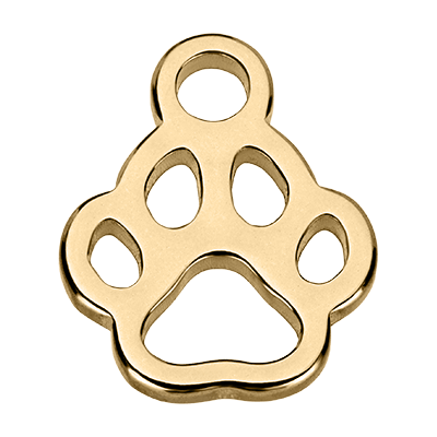 Gold Paw Pendant addon