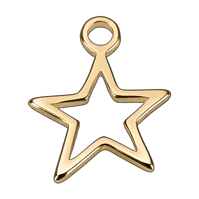 Gold Hollow Star Pendant addon