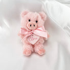 Mini Pig Soft Toy with Personalised Plaque pig