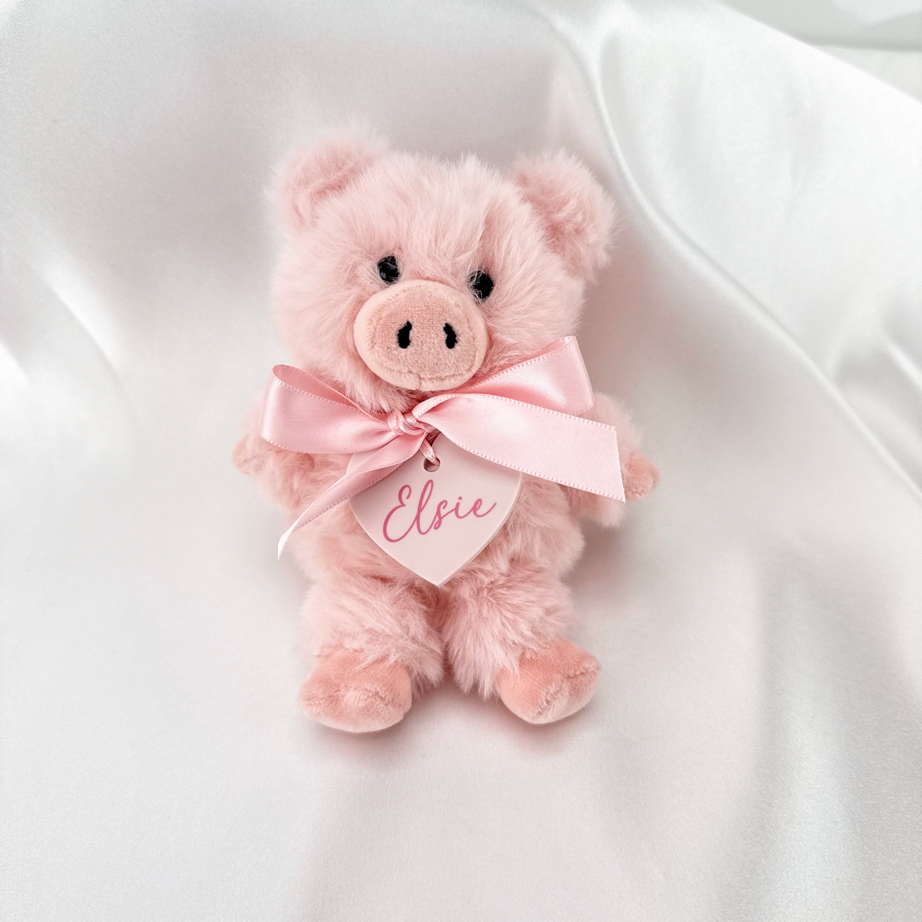 Mini Pig Soft Toy with Personalised Plaque pig