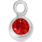 Silver - January Garnet Birthstone addon