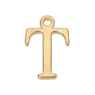 T Gold Pendant addon