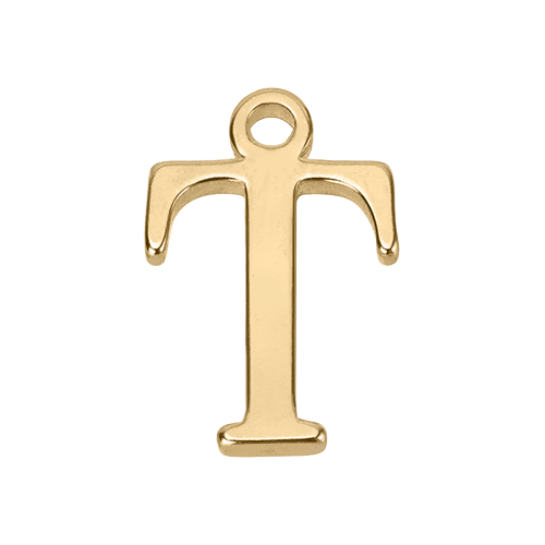 T Gold Pendant addon